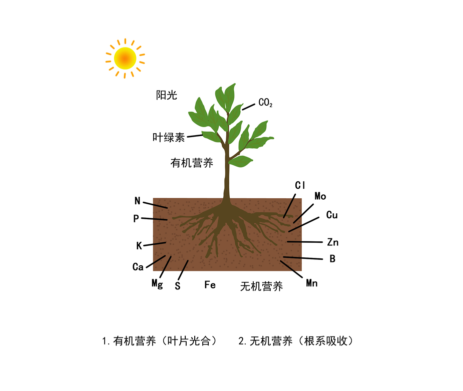 不管是盈是亏，诚信经营，认真做事。