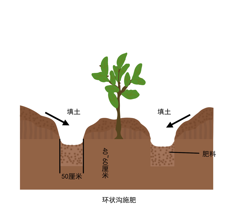 不管是盈是亏，诚信经营，认真做事。