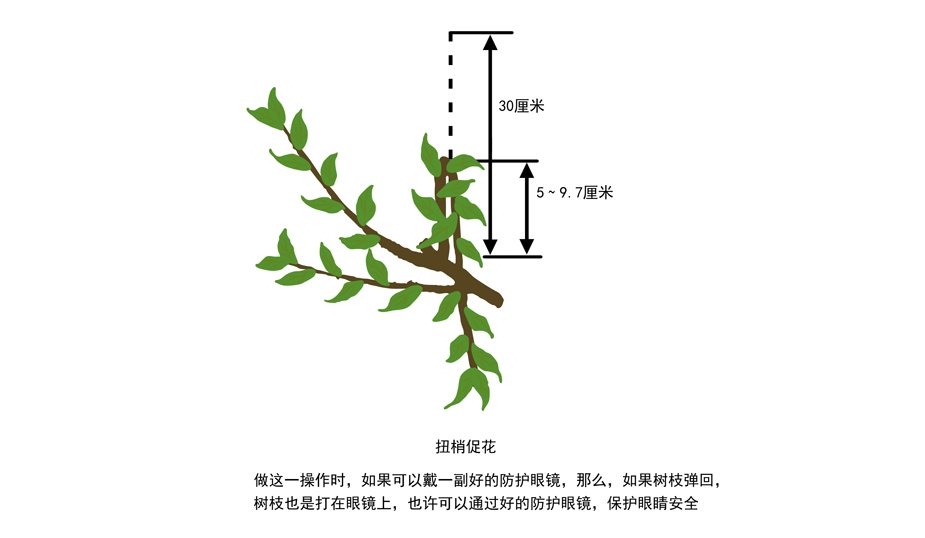 不管是盈是亏，诚信经营，认真做事。