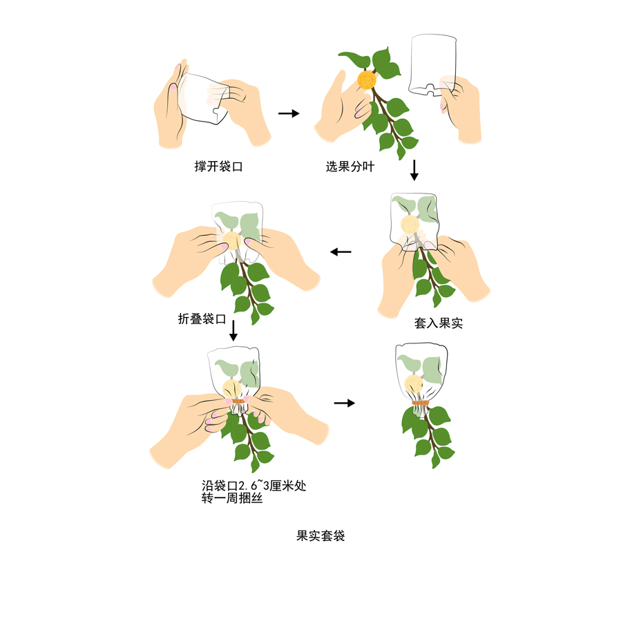 不管是盈是亏，诚信经营，认真做事。